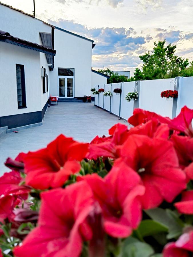 White House Hotel Александрия Екстериор снимка